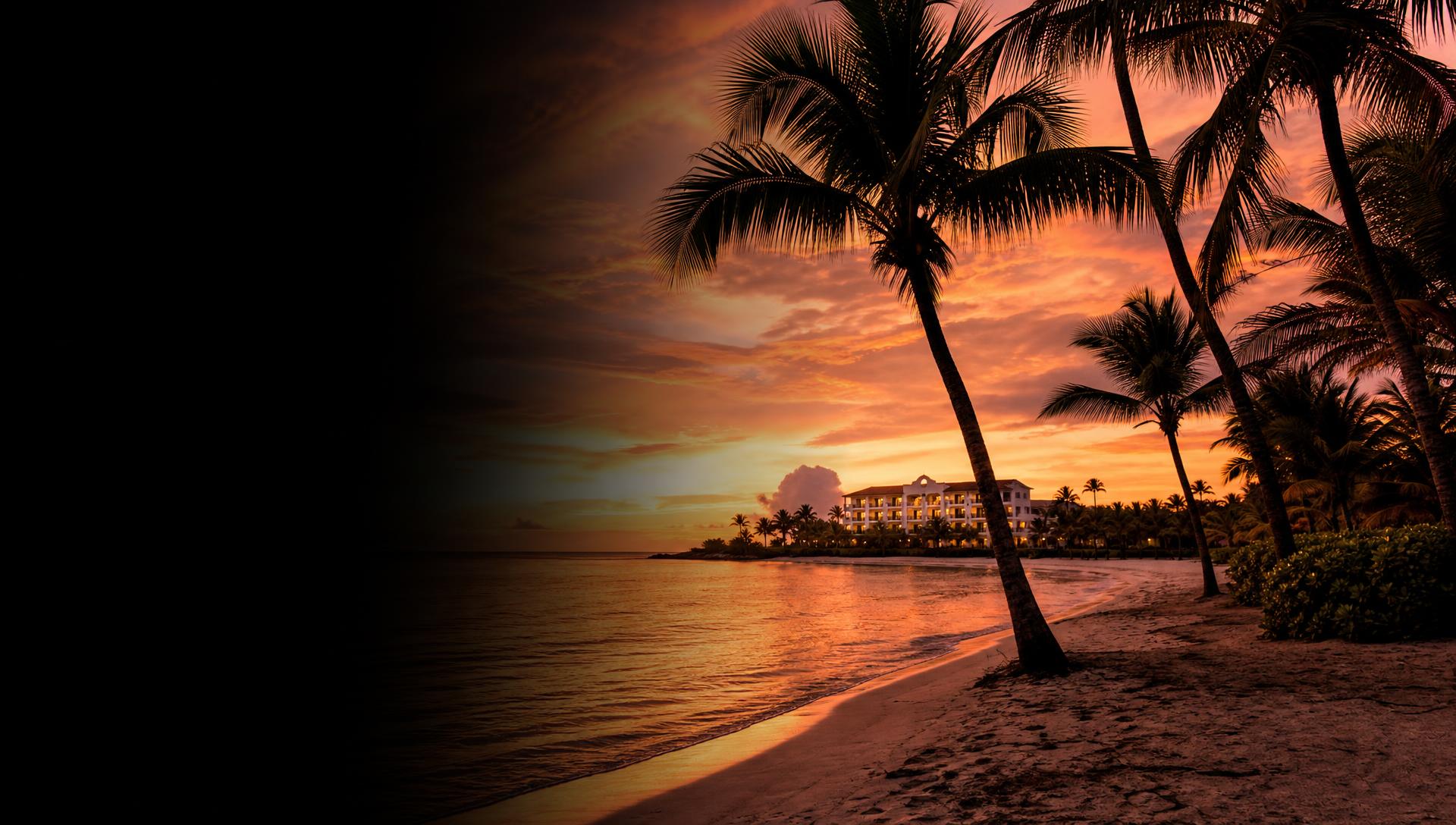 Palace Grounds Hotels sunset beach with palm trees and a distant high-rise
